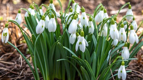 blog post image